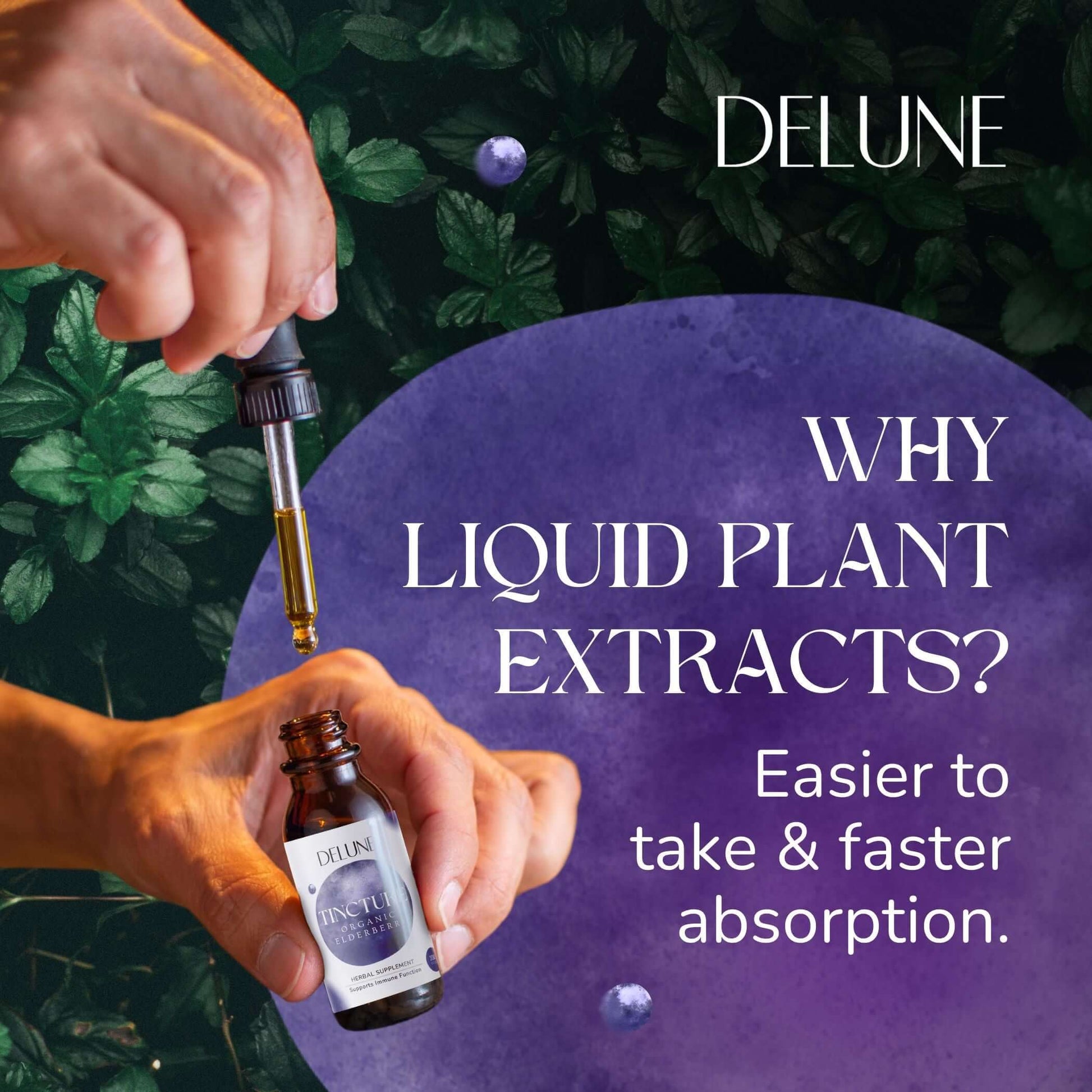 Organic Lemon Balm Herbal Tincture - Delune 